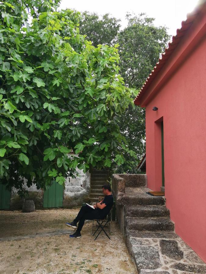 Quinta Do Santinho Villa อามารังติ ภายนอก รูปภาพ