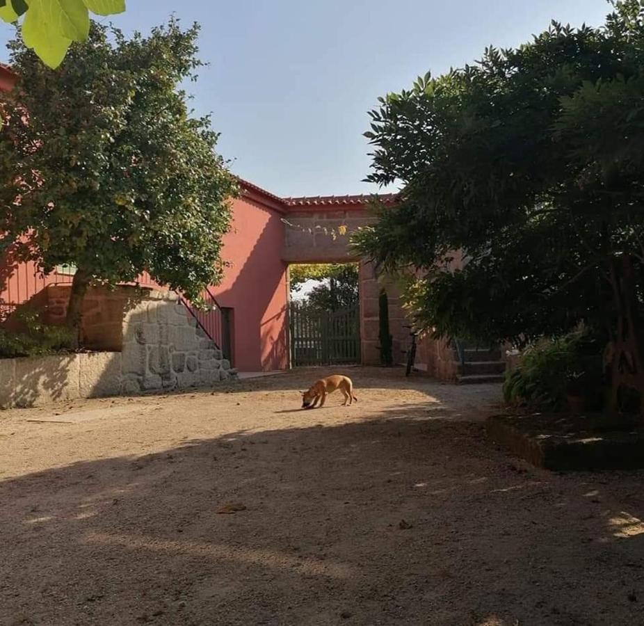 Quinta Do Santinho Villa อามารังติ ภายนอก รูปภาพ