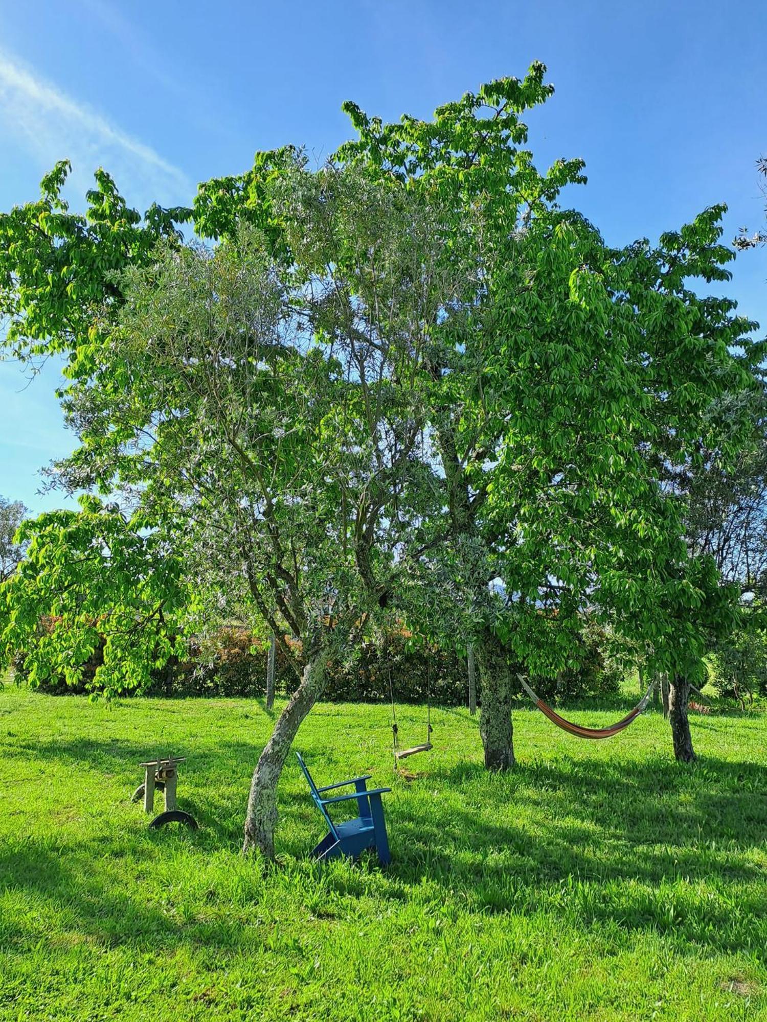 Quinta Do Santinho Villa อามารังติ ภายนอก รูปภาพ